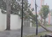 Kota Banjar Diterjang Cuaca Ekstrem, Banjir dan Pohon Tumbang Terjadi