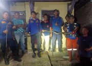 Damkar Banjar Evakuasi Ular King Cobra Sepanjang 4 meter