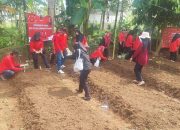 Peringati Hari Kartini, Kader PDIP Banjar Dorong Ketahanan Pangan Rumah Tangga