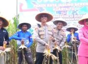 Polres dan Dinas Pertanian Banjar Serentak Laksanakan Panen Jagung Kuartal II 2026
