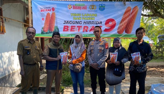 Kapolres Banjar Hadiri Temu Lapang Dan Panen Raya Jagung Di Pataruman, Dukung Swasembada Pangan 2026