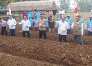 Bawang Putih Ditanam di Banjar, Polisi Gandeng Petani