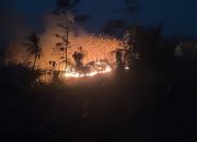 Warga Dua Desa di Pangandaran Panik, Hutan Dekat Permukiman Terbakar