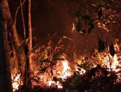 Lagi dan Lagi! Pasir Reregan Selasari Pangandaran Kembali Dilalap Api