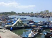 Musim Kemarau, Hasil Tangkapan Nelayan Pangandaran Melimpah